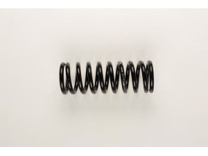 BILSTEIN 36-159987 spyruoklė 
 Pakaba -> Spyruoklės
8941734
