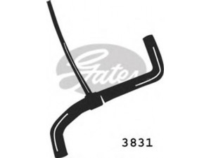 GATES 3831 radiatoriaus žarna 
 Aušinimo sistema -> Žarnelės/vamzdeliai/sujungimai -> Radiatoriaus žarnos
6K0121101L