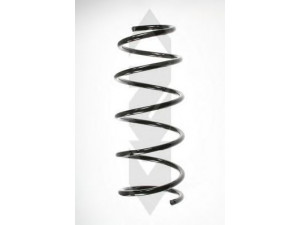 SPIDAN 49790 spyruoklė 
 Pakaba -> Spyruoklės
77 00 417 229