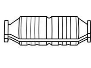 AKS DASIS SG24306 katalizatoriaus keitiklis