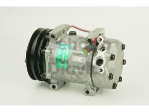 WEBASTO 82D0155296A kompresorius, oro kondicionierius 
 Oro kondicionavimas -> Kompresorius/dalys
1376999, 1412264