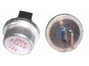 DELCO REMY 19025704 lygintuvas, kintamosios srovės generatorius