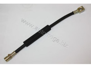 AUTOMEGA 3005620325 stabdžių žarnelė 
 Stabdžių sistema -> Stabdžių žarnelės
0562325, 562325, 0562325, 562325