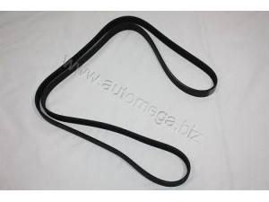 AUTOMEGA 3163400637 V formos rumbuoti diržai 
 Techninės priežiūros dalys -> Techninės priežiūros intervalai
6340637, 6340637, 6340637, 93181718
