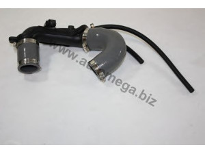 AUTOMEGA 30820007700644 aušinimo skysčio vamzdis
8200770644, 8200770644
