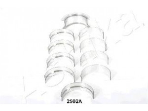 ASHIKA 86-2502A alkūninio veleno guolių rinkinys 
 Dviratė transporto priemonės -> Variklis -> Alkūninio veleno pavara -> Alkūninis velenas
11702-87306