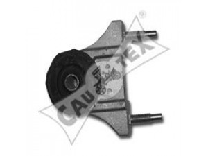 CAUTEX 030892 valdymo svirties/išilginių svirčių įvorė 
 Ašies montavimas/vairavimo mechanizmas/ratai -> Valdymo svirtis/pasukamosios svirties sujungimas -> Montavimas/sutvirtinimas
95632592