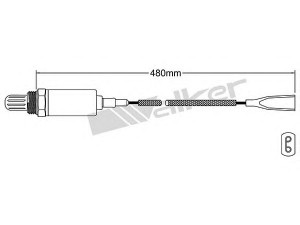 WALKER PRODUCTS 250-21024 lambda jutiklis 
 Variklis -> Variklio elektra
025 906 265