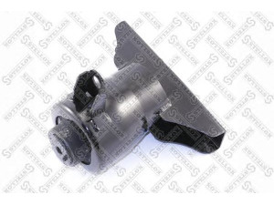 STELLOX 25-71122-SX variklio montavimas
EC0139060C