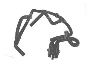 FARE SA 9038 radiatoriaus žarna 
 Aušinimo sistema -> Žarnelės/vamzdeliai/sujungimai -> Radiatoriaus žarnos
7700826976