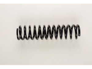 BILSTEIN 36-225958 spyruoklė 
 Pakaba -> Spyruoklės
123 321 27 04