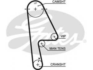 GATES 5529XS paskirstymo diržas 
 Techninės priežiūros dalys -> Papildomas remontas
103RU22B333, 14400-P7A-004, 14400-PLA-004