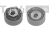TREVI AUTOMOTIVE TD1450 įtempiklio skriemulys, paskirstymo diržas 
 Techninės priežiūros dalys -> Papildomas remontas
94410227704, 94410227706