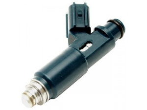DELPHI FJ10526 įpurškimo antgalis
81711-339-90, 17113399, 94856835