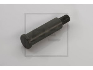 PE Automotive 013.067-00A varžtas