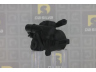 DA SILVA DP2120 hidraulinis siurblys, vairo sistema 
 Vairavimas -> Vairo pavara/siurblys
92GB-3A674-CB