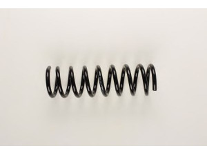 BILSTEIN 36-129652 spyruoklė 
 Pakaba -> Spyruoklės
170 321 00 04