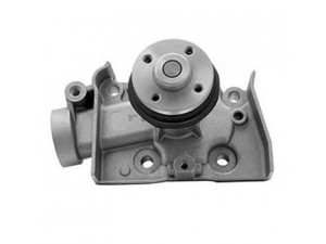 MAGNETI MARELLI 352316170125 vandens siurblys 
 Aušinimo sistema -> Vandens siurblys/tarpiklis -> Vandens siurblys
1610087244, 1610087244000, 1610087248