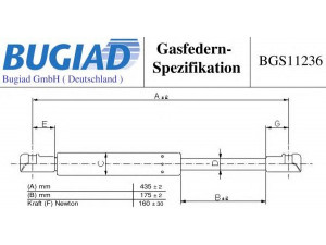 BUGIAD BGS11236 dujinė spyruoklė, bagažinė 
 Priedai -> Bagažinė/pakrovimo skyrius
Q0009235V006000000