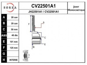 EAI CV22501A1K jungčių komplektas, kardaninis velenas 
 Ratų pavara -> Sujungimai/komplektas