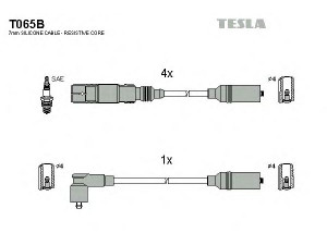 TESLA T065B uždegimo laido komplektas 
 Kibirkšties / kaitinamasis uždegimas -> Uždegimo laidai/jungtys
037905483C