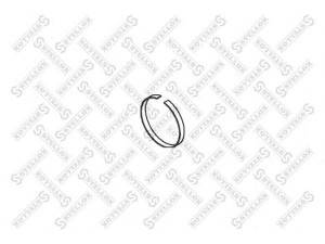 STELLOX 81-66701-SX tarpiklis, išleidimo kolektorius
1638168, 7401638168