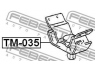 FEBEST TM-035 variklio montavimas 
 Variklis -> Variklio montavimas -> Variklio montavimo rėmas
12371-31051