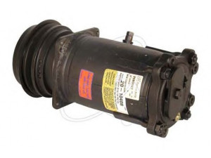 ELECTRO AUTO 20B0027 kompresorius, oro kondicionierius
0031312501, 0031312501