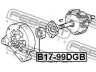 FEBEST B17-99DGB guolis
12311747246, 9947676