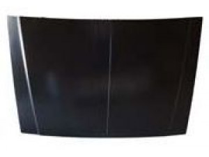 MDR TJO 101 0000 gaubtas