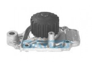 DAYCO DP019-S vandens siurblys