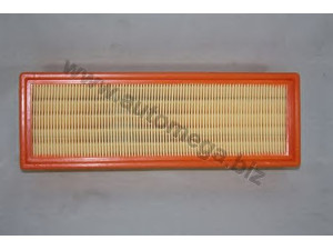 AUTOMEGA 309961440871 oro filtras 
 Techninės priežiūros dalys -> Techninės priežiūros intervalai
96144871, 96144871