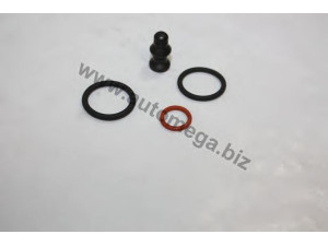 AUTOMEGA 30198005103GA remonto komplektas, siurblio-purkštukų blokas
03G198051A, 03G198051A, 03G198051A