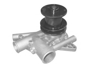 PROTECHNIC PRW1016 vandens siurblys 
 Aušinimo sistema -> Vandens siurblys/tarpiklis -> Vandens siurblys
7701452782, 7701457595, 7701457771