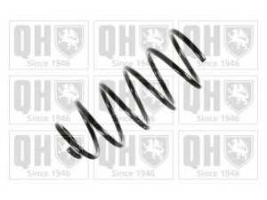 QUINTON HAZELL QCS6986 spyruoklė 
 Pakaba -> Spyruoklės
1J0 411 105 AT