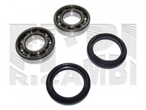 CALIBER RC2201 rato guolio komplektas 
 Ašies montavimas/vairavimo mechanizmas/ratai -> Rato stebulė/montavimas -> Rato guolis
699901010