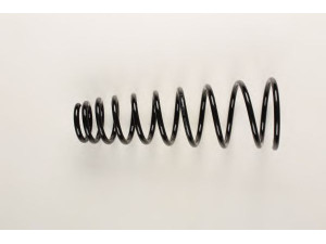 BILSTEIN 36-229703 spyruoklė 
 Pakaba -> Spyruoklės
54010-86J01, 55020 2F 024