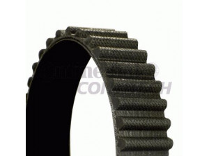 CONTITECH CT1158 paskirstymo diržas 
 Techninės priežiūros dalys -> Papildomas remontas
27727713248, 27727719371, 7713248