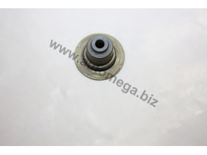 AUTOMEGA 30770001030938 tarpiklis, vožtuvo šerdis 
 Variklis -> Cilindrų galvutė/dalys -> Vožtuvo kreiptuvas/kojelės sandariklis/dalys
7700103938, 7700103938