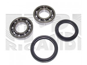CALIBER RC2203 rato guolio komplektas 
 Ašies montavimas/vairavimo mechanizmas/ratai -> Rato stebulė/montavimas -> Rato guolis
X9061GA000