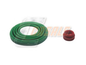 CASALS MD1100 remonto komplektas, stabdžių apkaba
81508226042