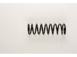 BILSTEIN 36-162574 spyruoklė 
 Pakaba -> Spyruoklės
08 982 122, 312 178