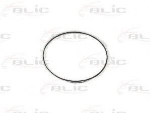 BLIC 6502-07-9534911P ventiliacijos grotelės, buferis 
 Kėbulas -> Transporto priemonės priekis -> Buferis/dalys