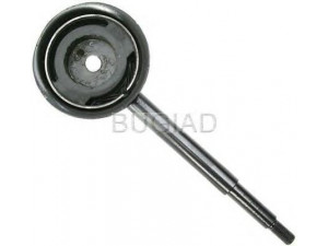 BUGIAD BSP21613 šarnyro stabilizatorius 
 Ašies montavimas/vairavimo mechanizmas/ratai -> Stabilizatorius/fiksatoriai -> Savaime išsilyginanti atrama
115 002 491