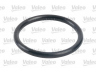 VALEO 587710 kuro filtras 
 Degalų tiekimo sistema -> Kuro filtras/korpusas
R2L1-13-ZA5A, R2L1-13ZA5A, R2L113ZA5A