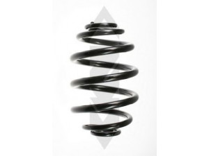 SPIDAN 48457 spyruoklė 
 Pakaba -> Spyruoklės
33 53 9 059 278