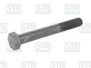 S-TR STR-50053 lingės varžtas
0250237080, 0250237088