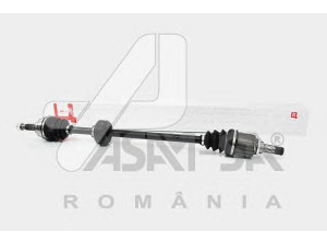 ASAM 30969 kardaninis velenas 
 Ratų pavara -> Kardaninis velenas
391004571R, 391005598R