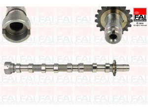 FAI AutoParts C333 skirstomasis velenas 
 Variklis -> Variklio uždegimo laiko reguliavimo kontrolė -> Skirstomasis velenas
0801.AE, 1495923, 3M5Q-6A273-BB