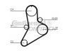 CONTITECH CT681 paskirstymo diržas
4721234